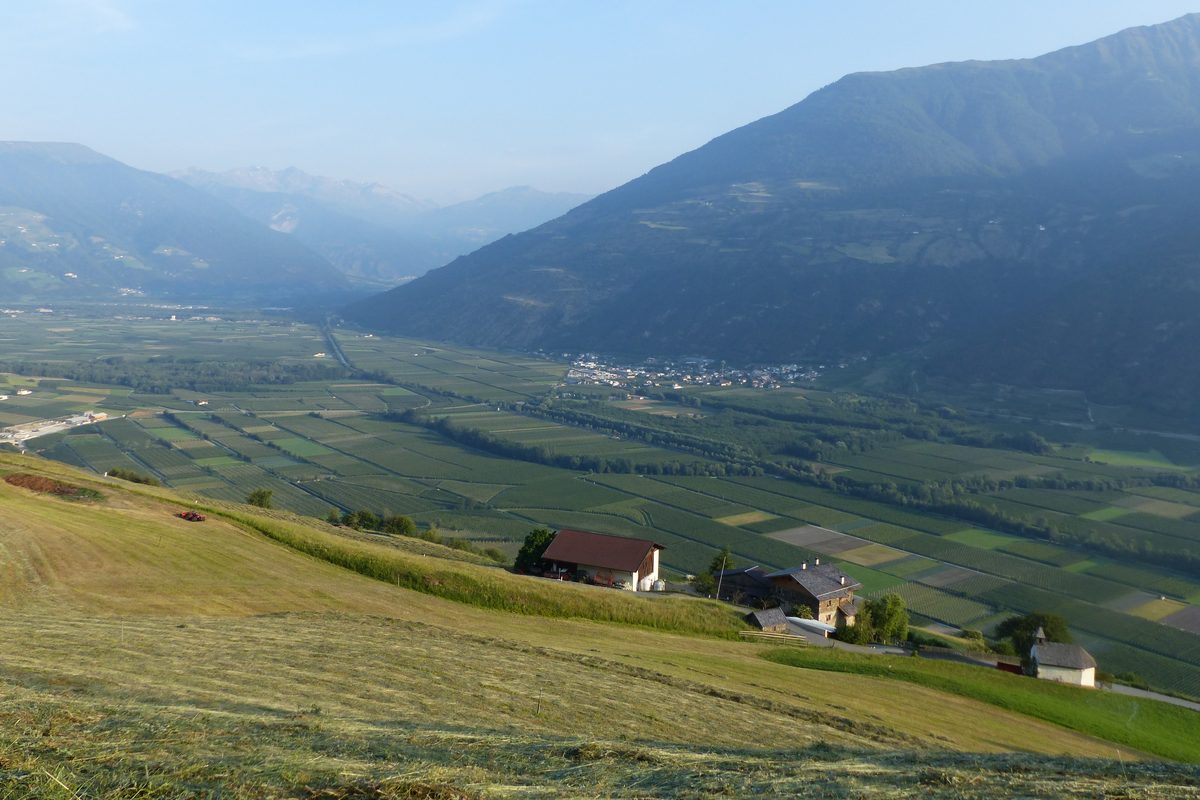 Blick in den oberen Vinschgau