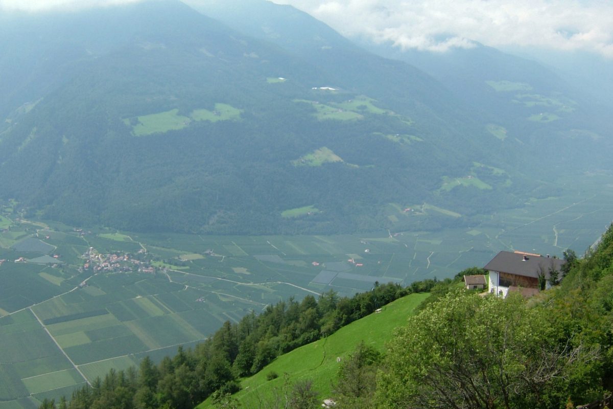 Wandern mit Blick in den Vinschgau